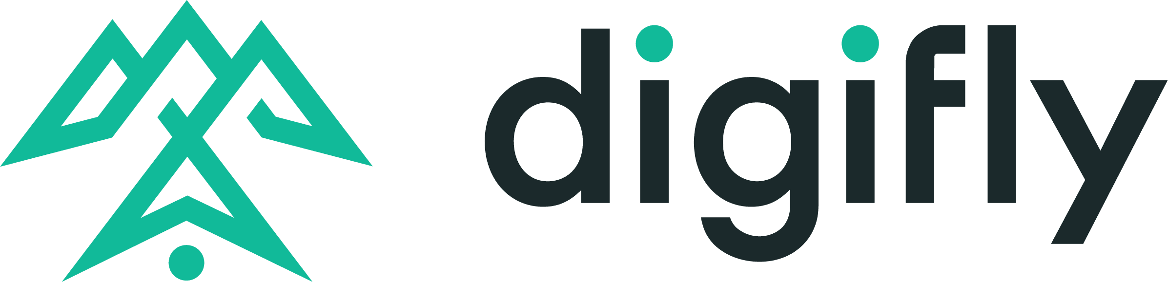 Company logo for Digifly